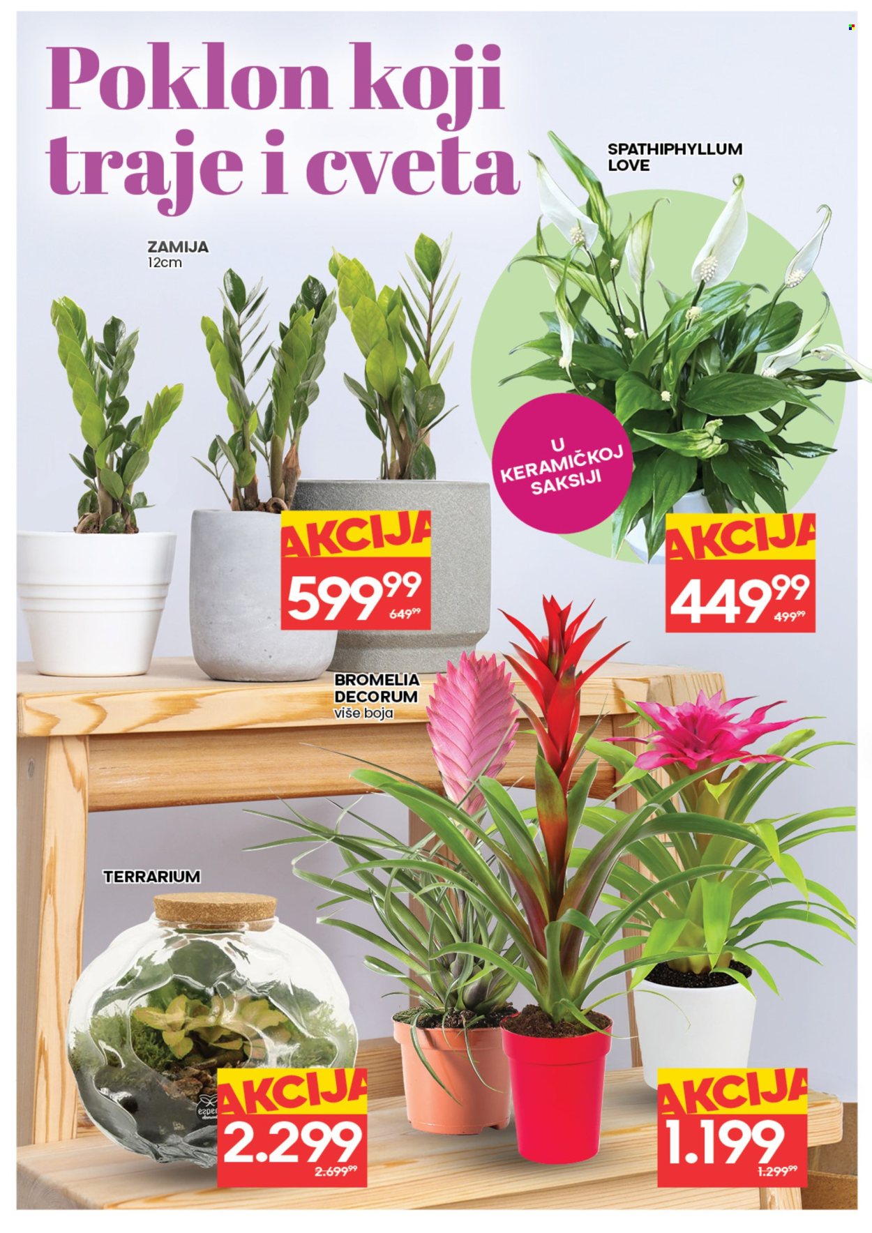 Idea katalog - 05.03.2026 - 11.03.2026. Stranica 6