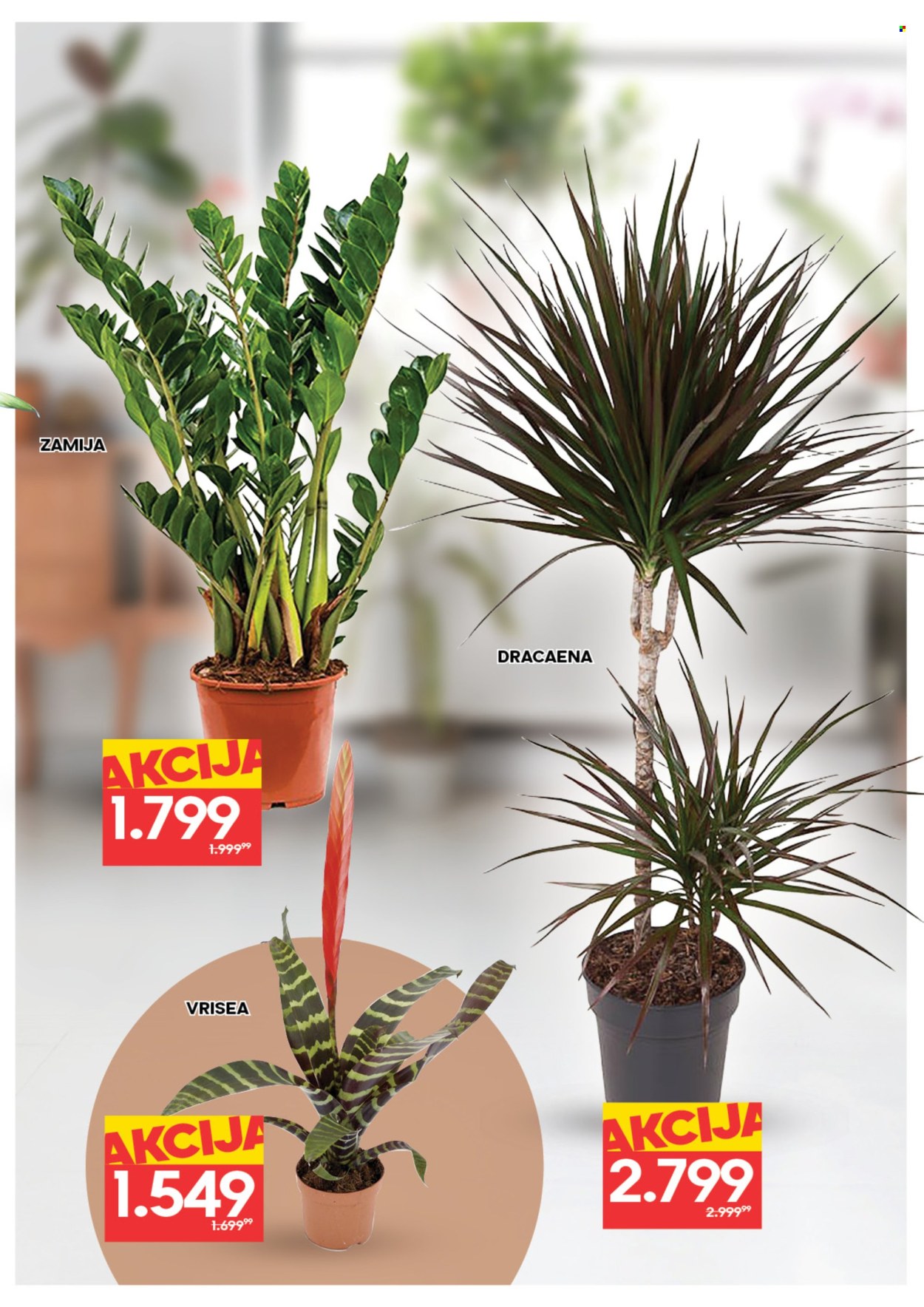 Idea katalog - 05.03.2026 - 11.03.2026. Stranica 7