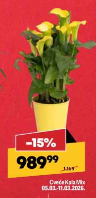 Cveće Kala Mix