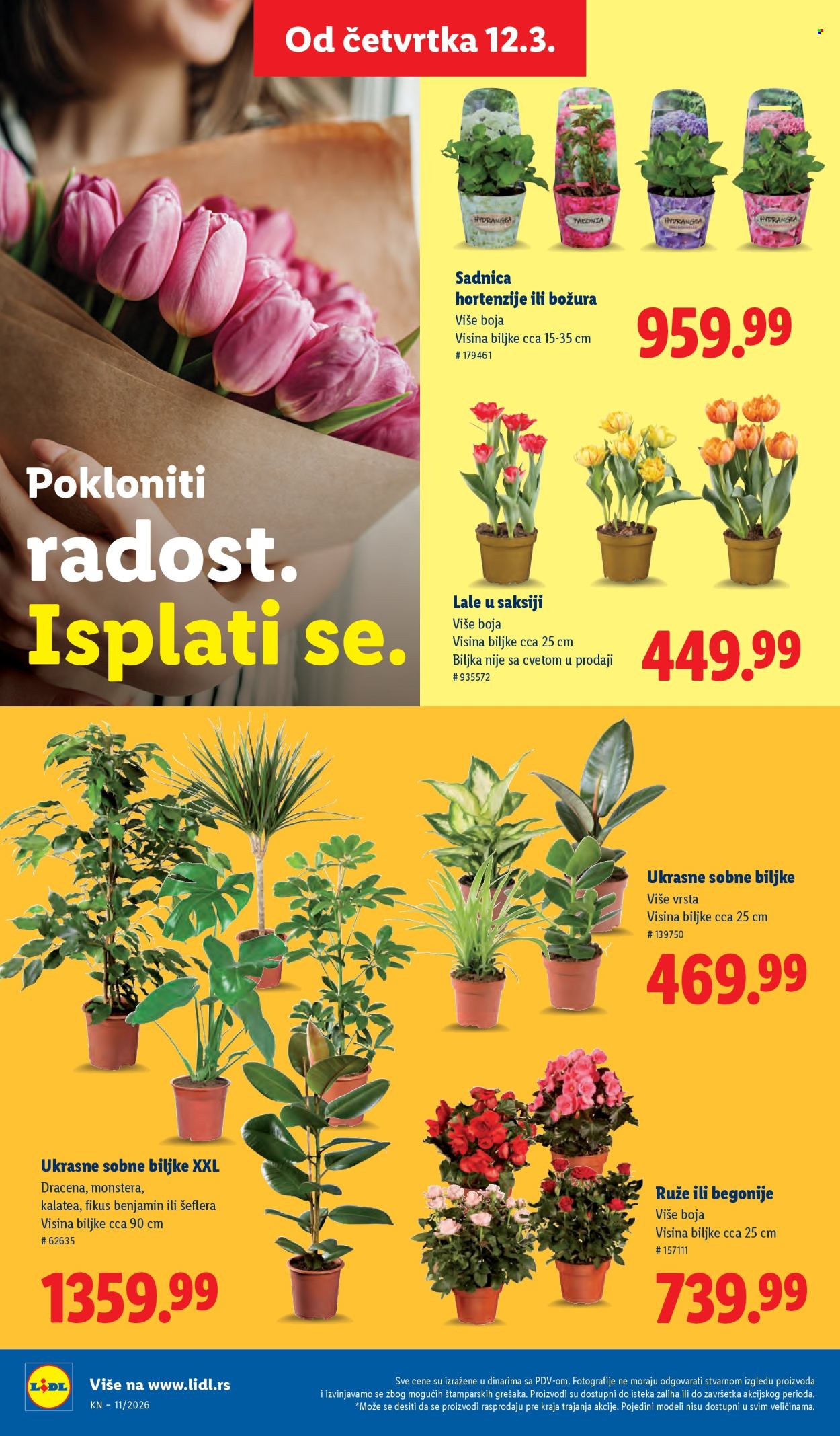 Lidl katalog - 12.03.2026 - 18.03.2026. Stranica 58