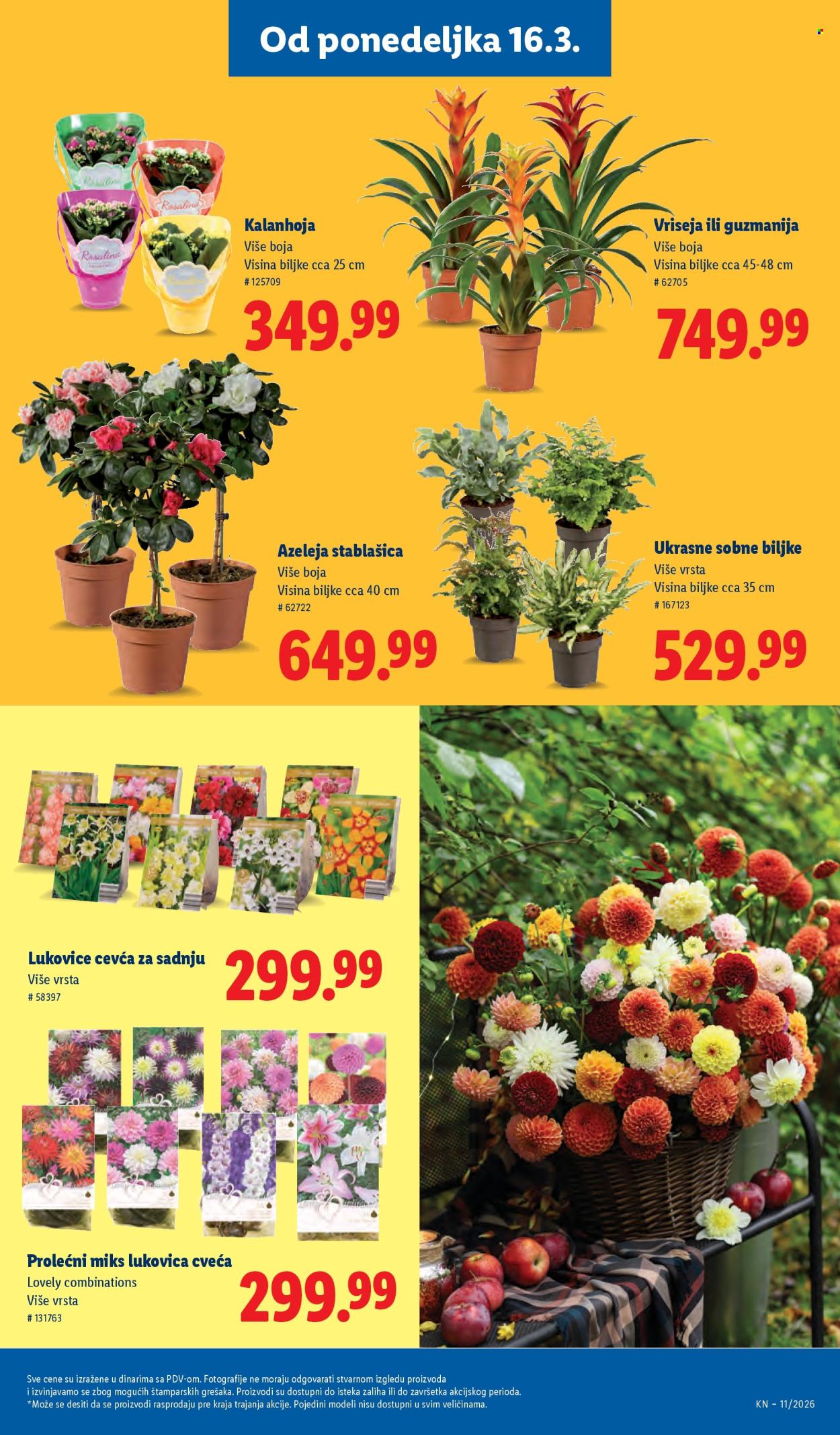 Lidl katalog - 12.03.2026 - 18.03.2026. Stranica 59