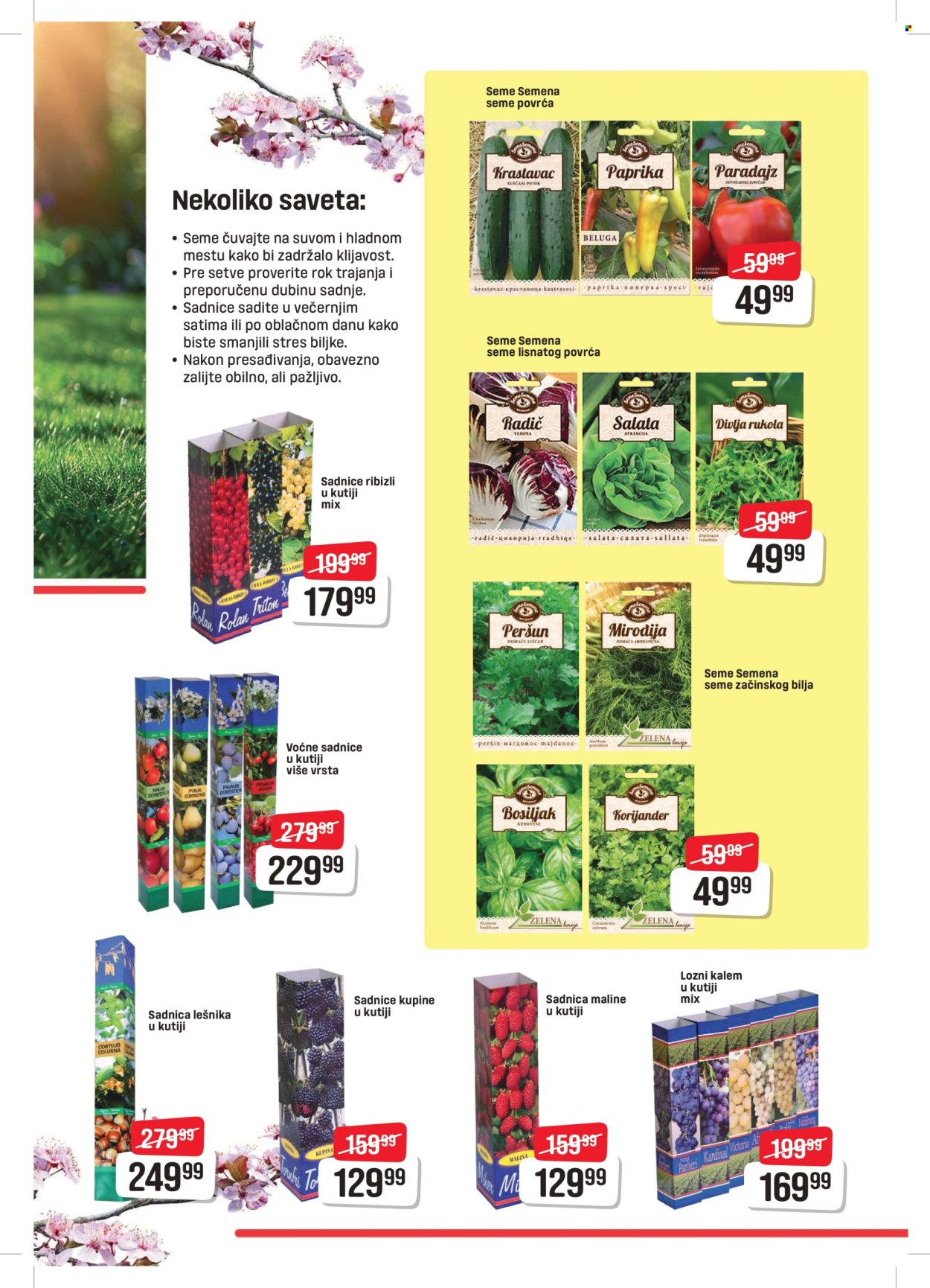 DIS katalog - 06.03.2026 - 04.04.2026. Stranica 3