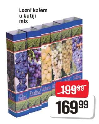 Lozni kalem u kutiji mix