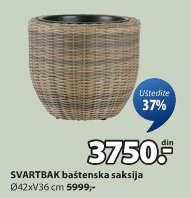 SVARTBAK BAŠTENSKA SAKSIJA