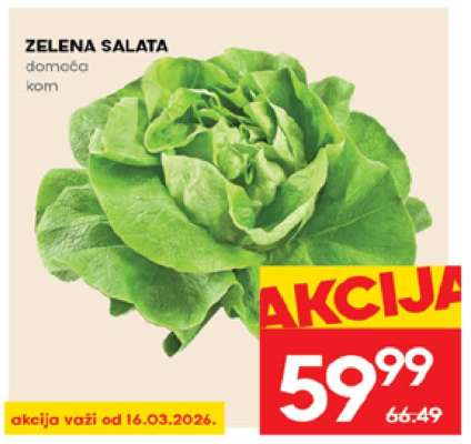 ZELENA SALATA