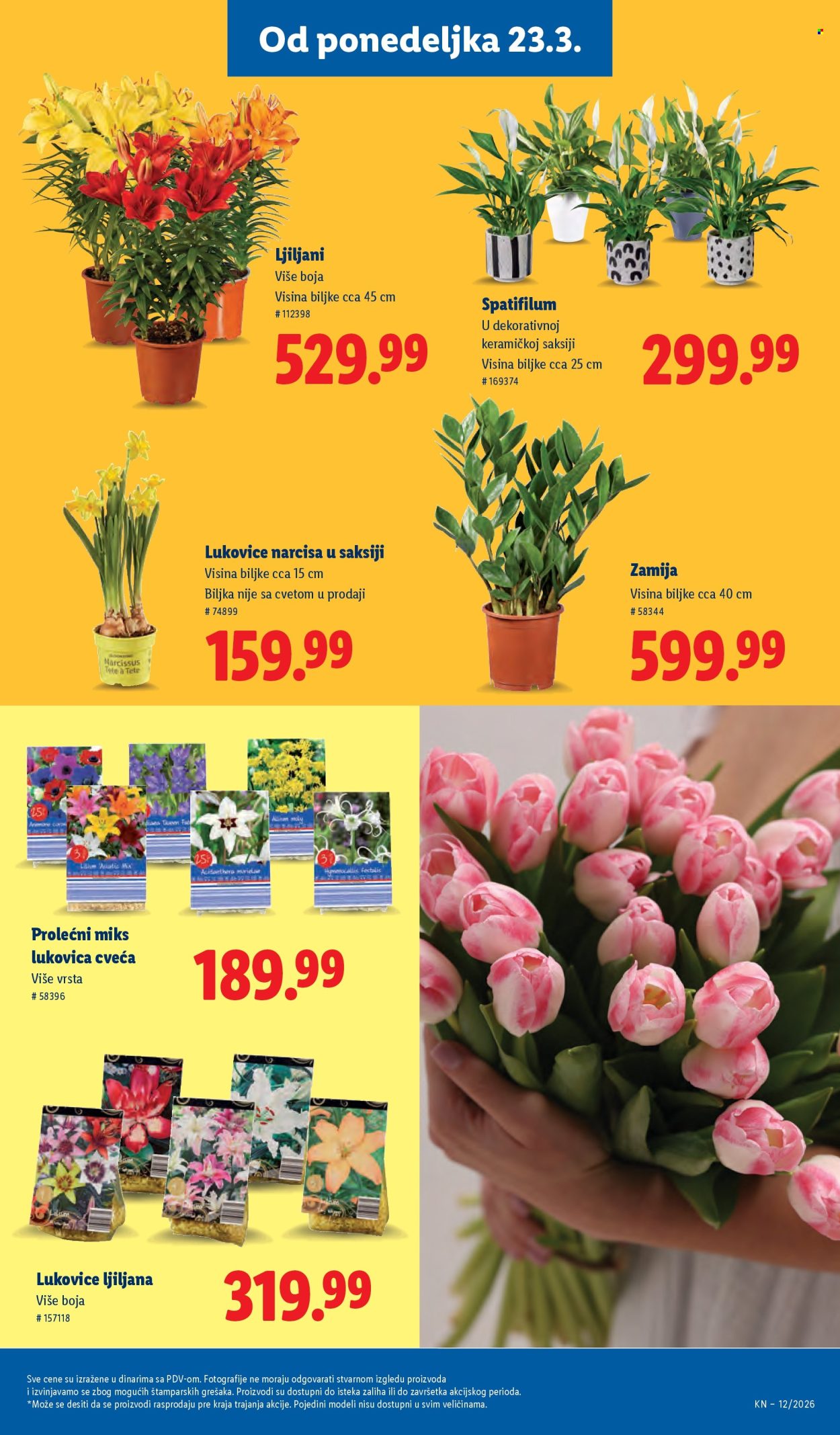 Lidl katalog - 19.03.2026 - 25.03.2026. Stranica 53