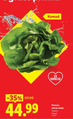 Domaća zelena salata