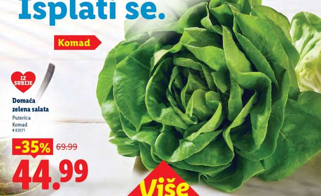 Domaća zelena salata