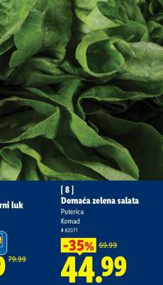 Domaća zelena salata