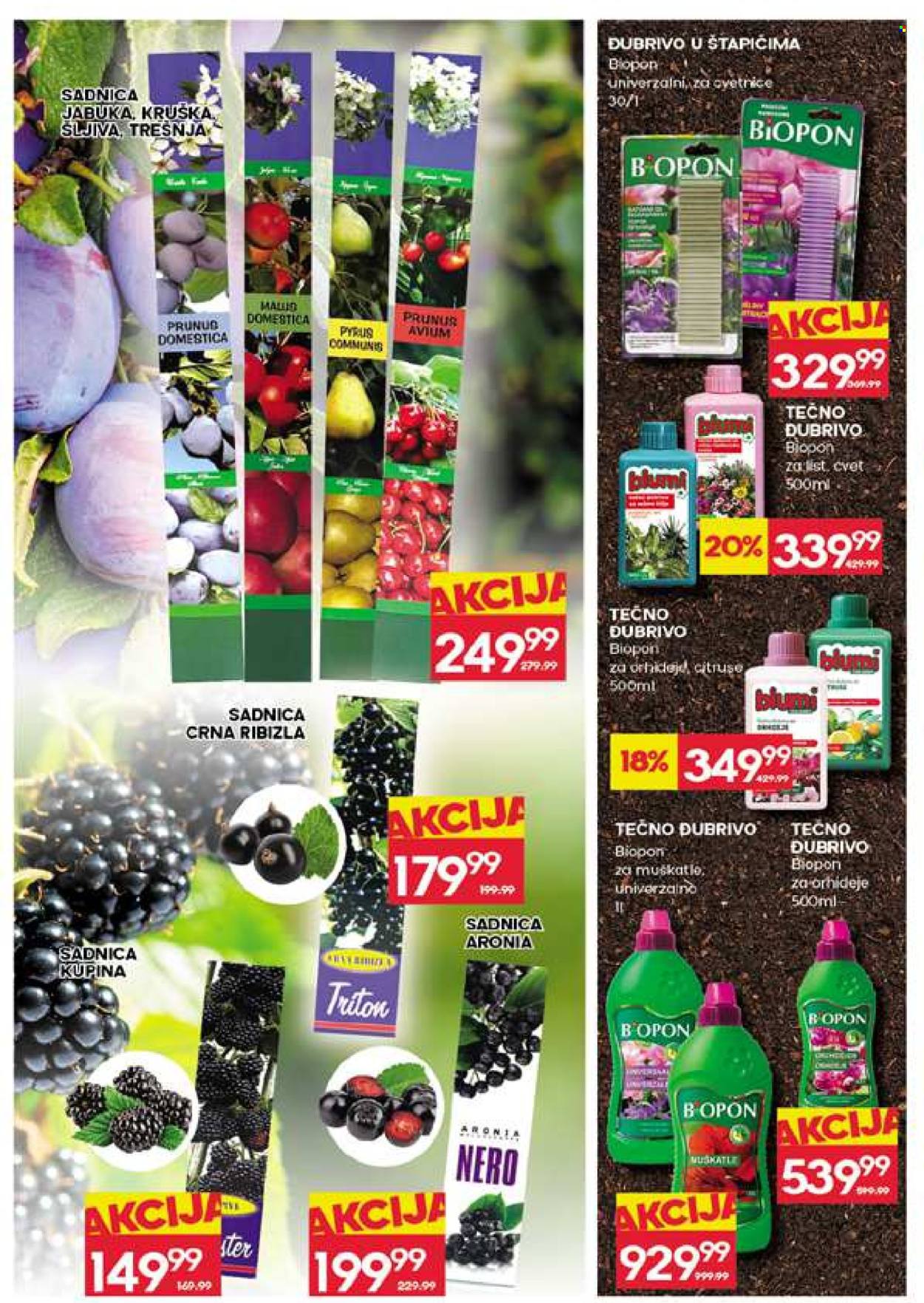 Roda katalog - 19.03.2026 - 25.03.2026. Stranica 30