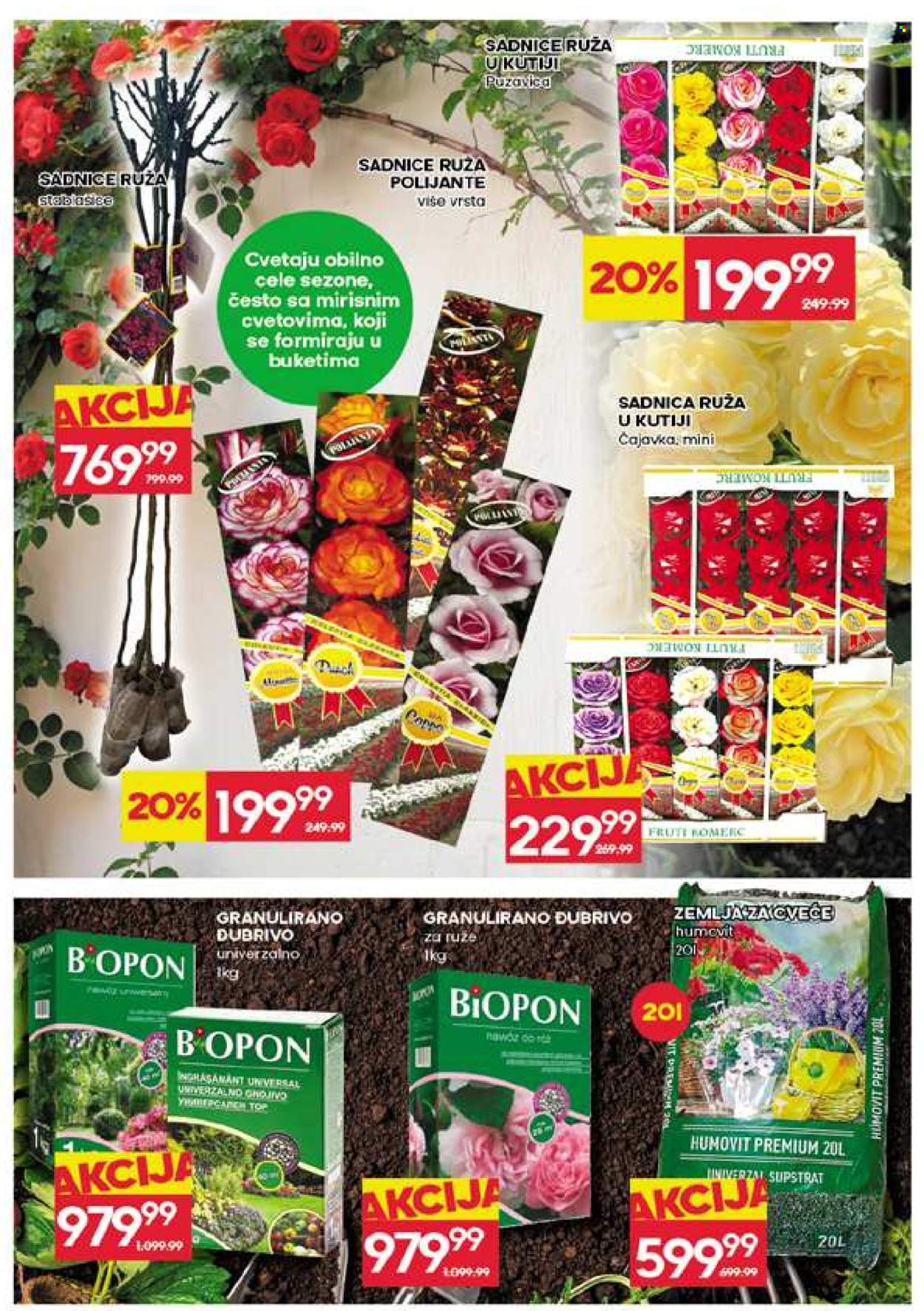 Roda katalog - 19.03.2026 - 25.03.2026. Stranica 31