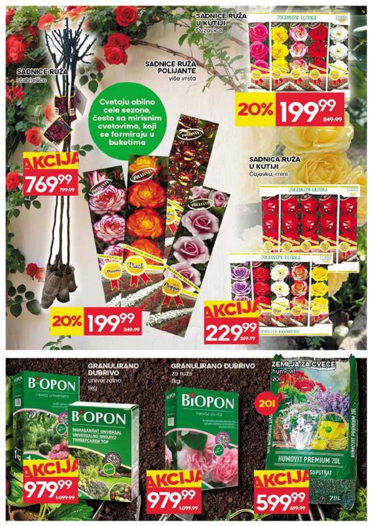 Idea katalog - 19.03.2026 - 25.03.2026. Stranica 31