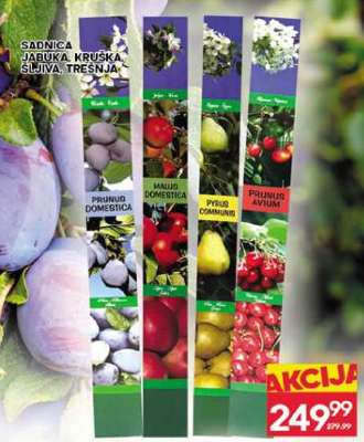 SADNICA JABUKA, KRUŠKA, ŠLJIVA, TREŠNJA