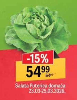 Salata Puterica domaca
