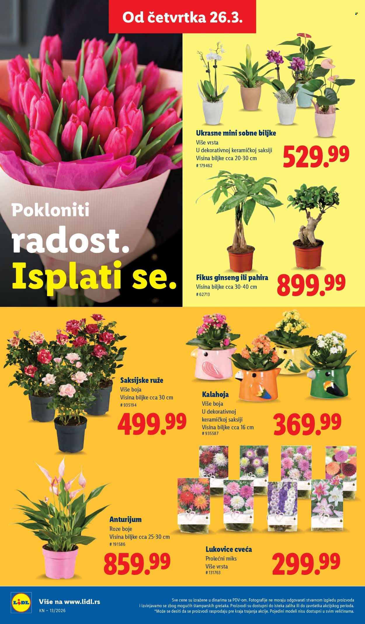Lidl katalog - 26.03.2026 - 01.04.2026. Stranica 54