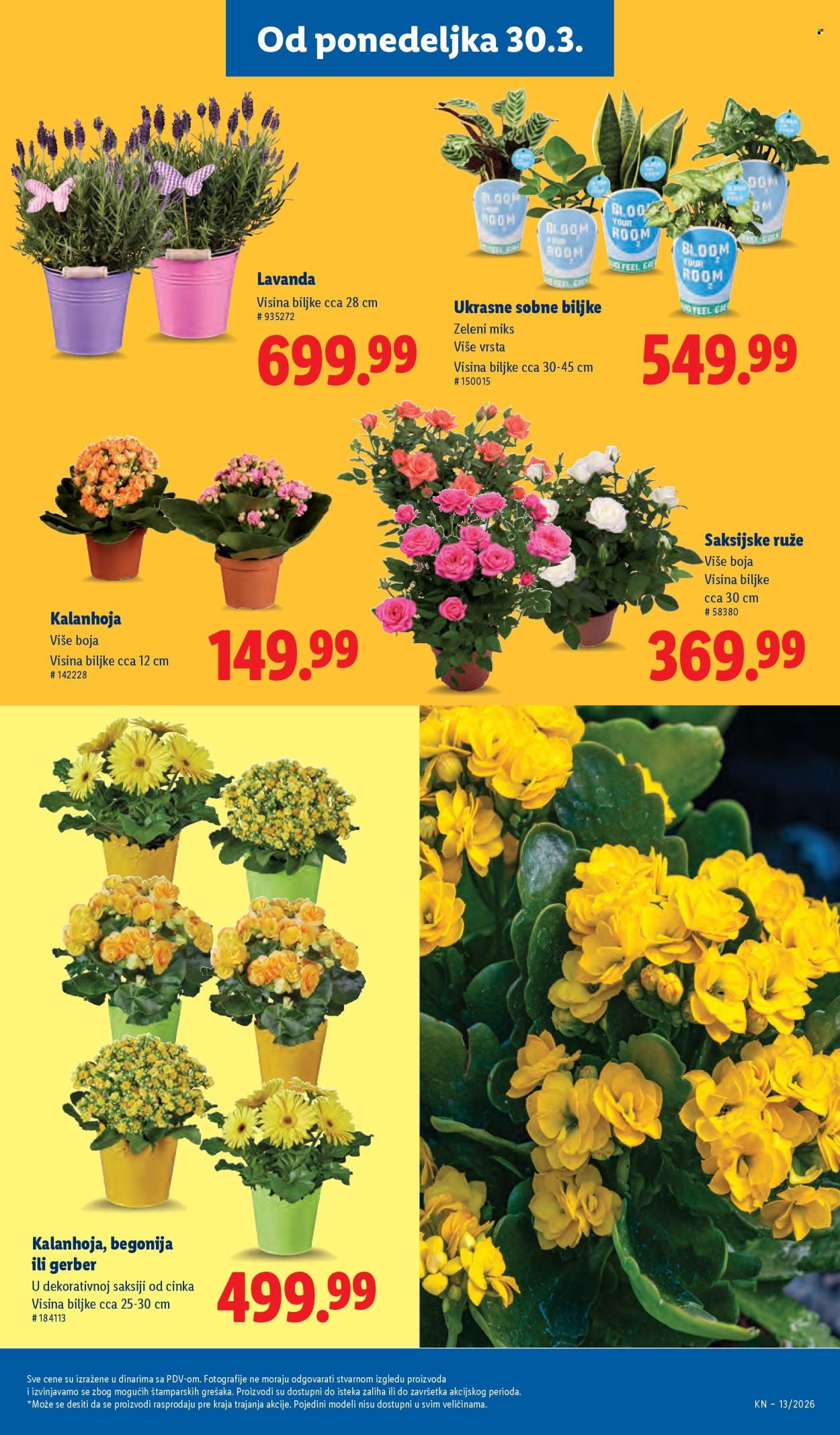 Lidl katalog - 26.03.2026 - 01.04.2026. Stranica 55