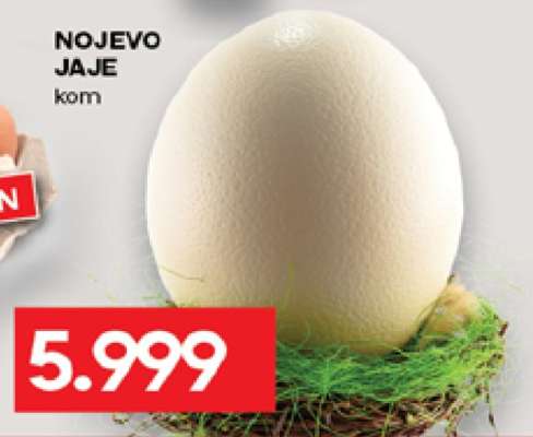NOJEVO JAJE