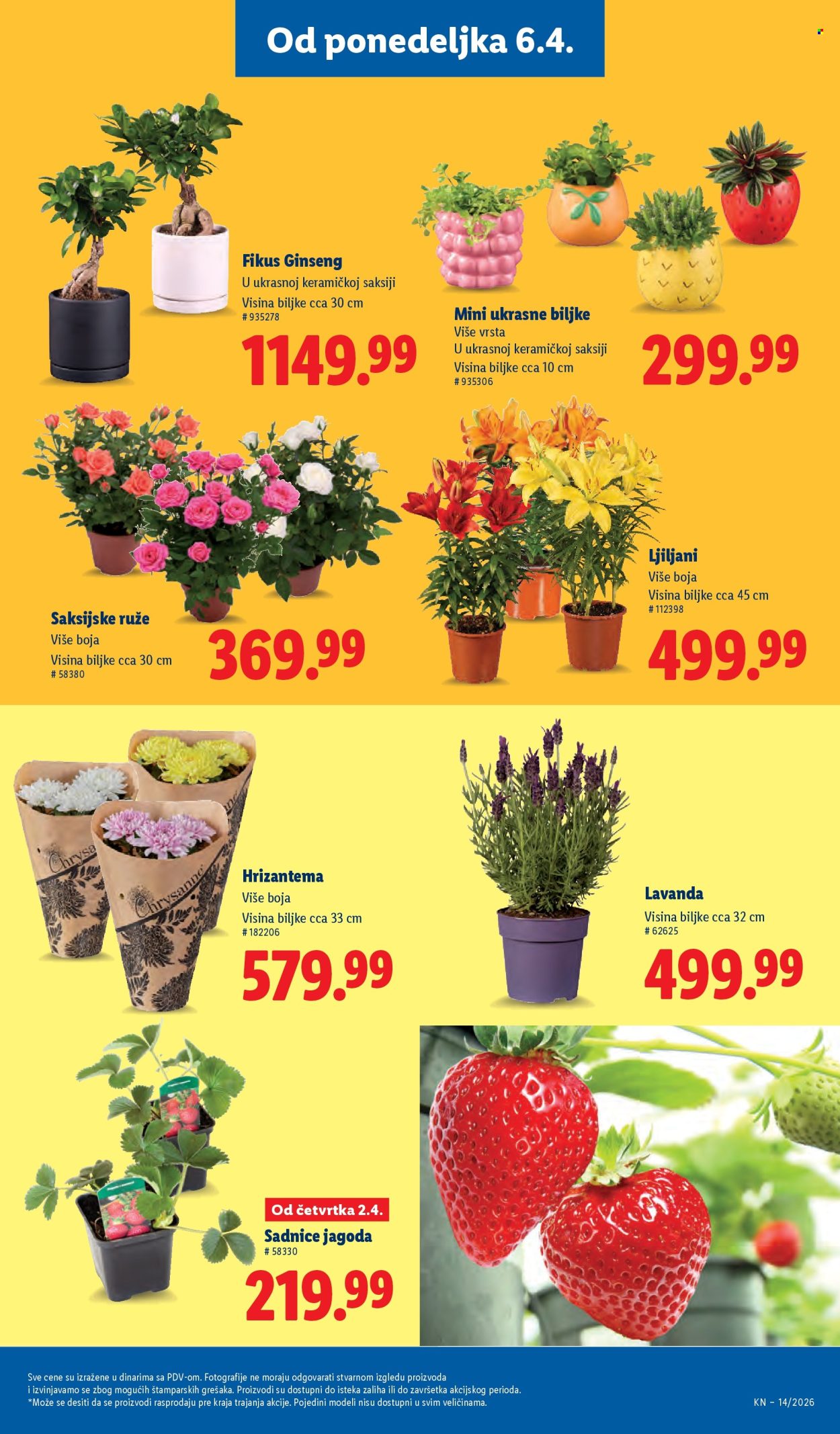 Lidl katalog - 02.04.2026 - 08.04.2026. Stranica 63