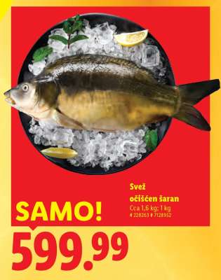 Svež očišćen šaran