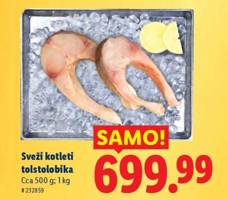 Sveži kotleti tolstolobika