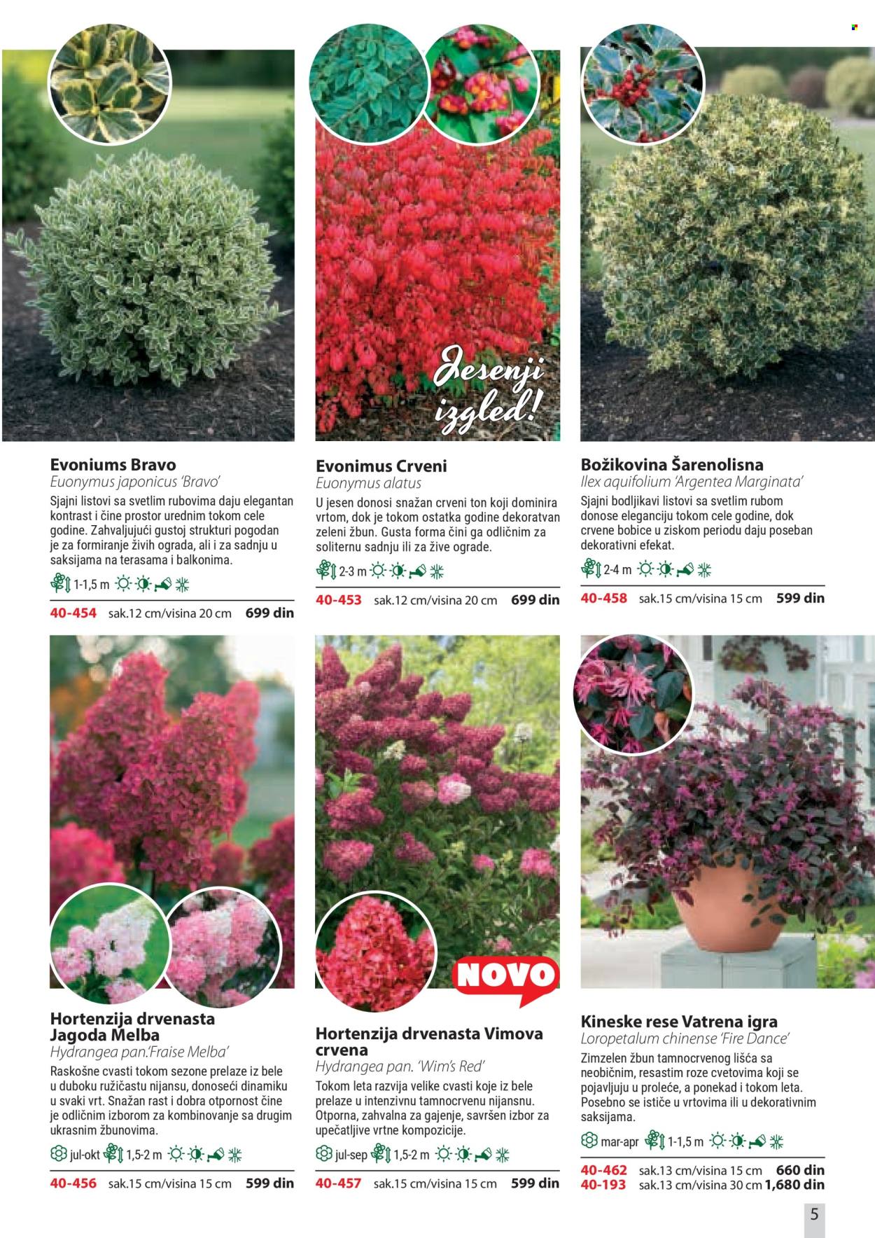 Flora Ekspres katalog. Stranica 5