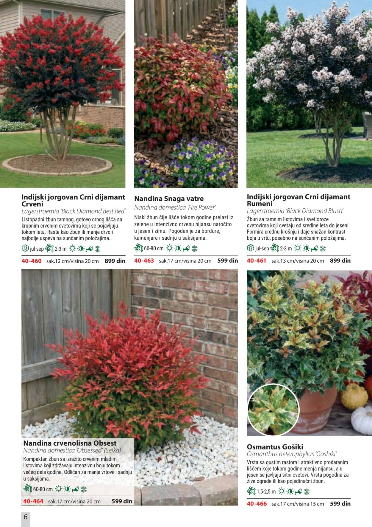 Flora Ekspres katalog. Stranica 6