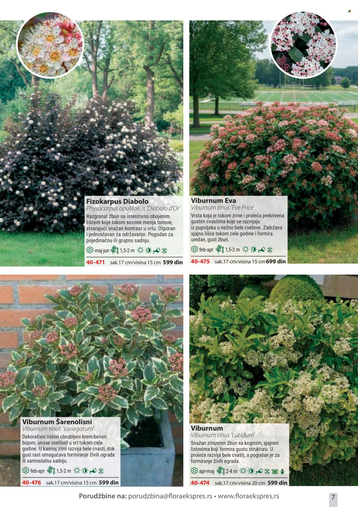 Flora Ekspres katalog. Stranica 7