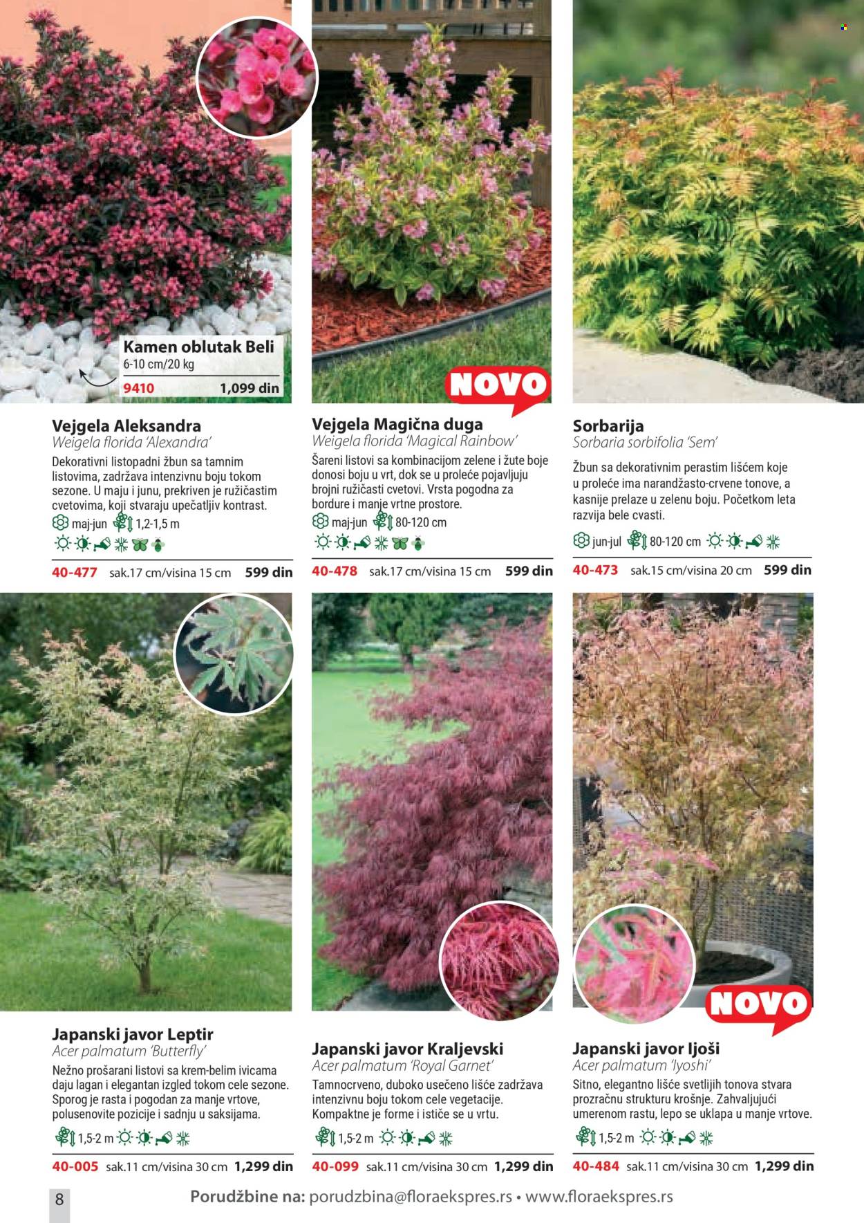 Flora Ekspres katalog. Stranica 8