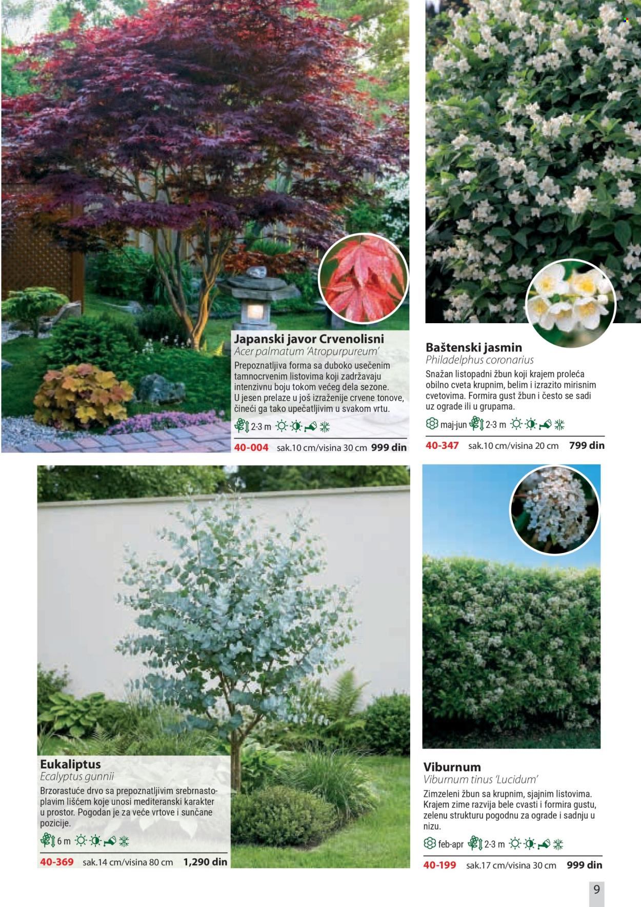 Flora Ekspres katalog. Stranica 9