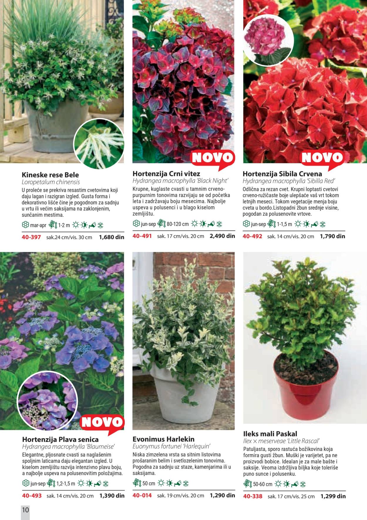 Flora Ekspres katalog. Stranica 10