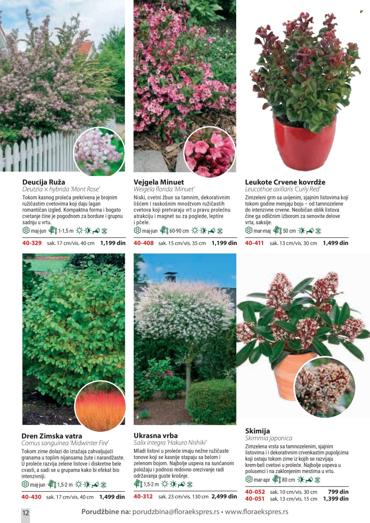 Flora Ekspres katalog. Stranica 12