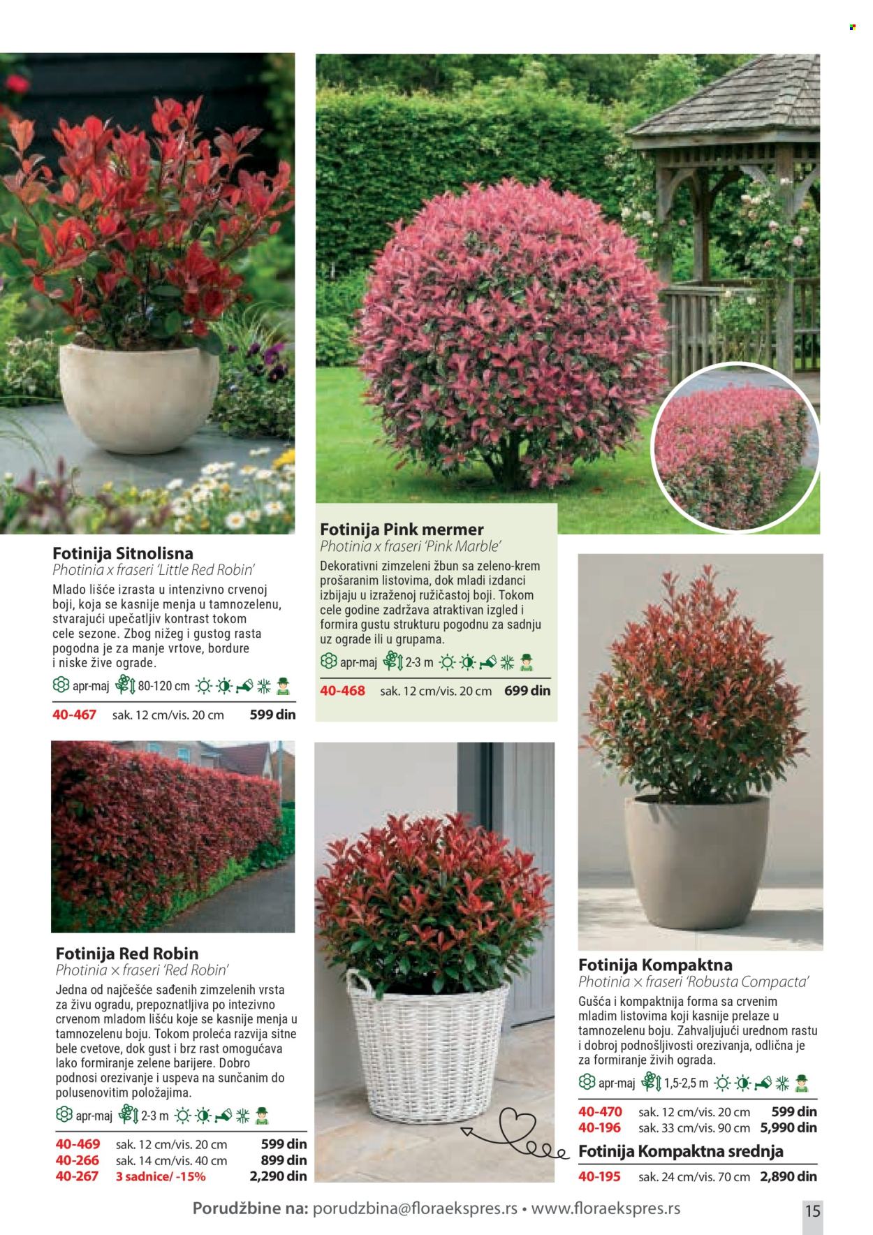 Flora Ekspres katalog. Stranica 15