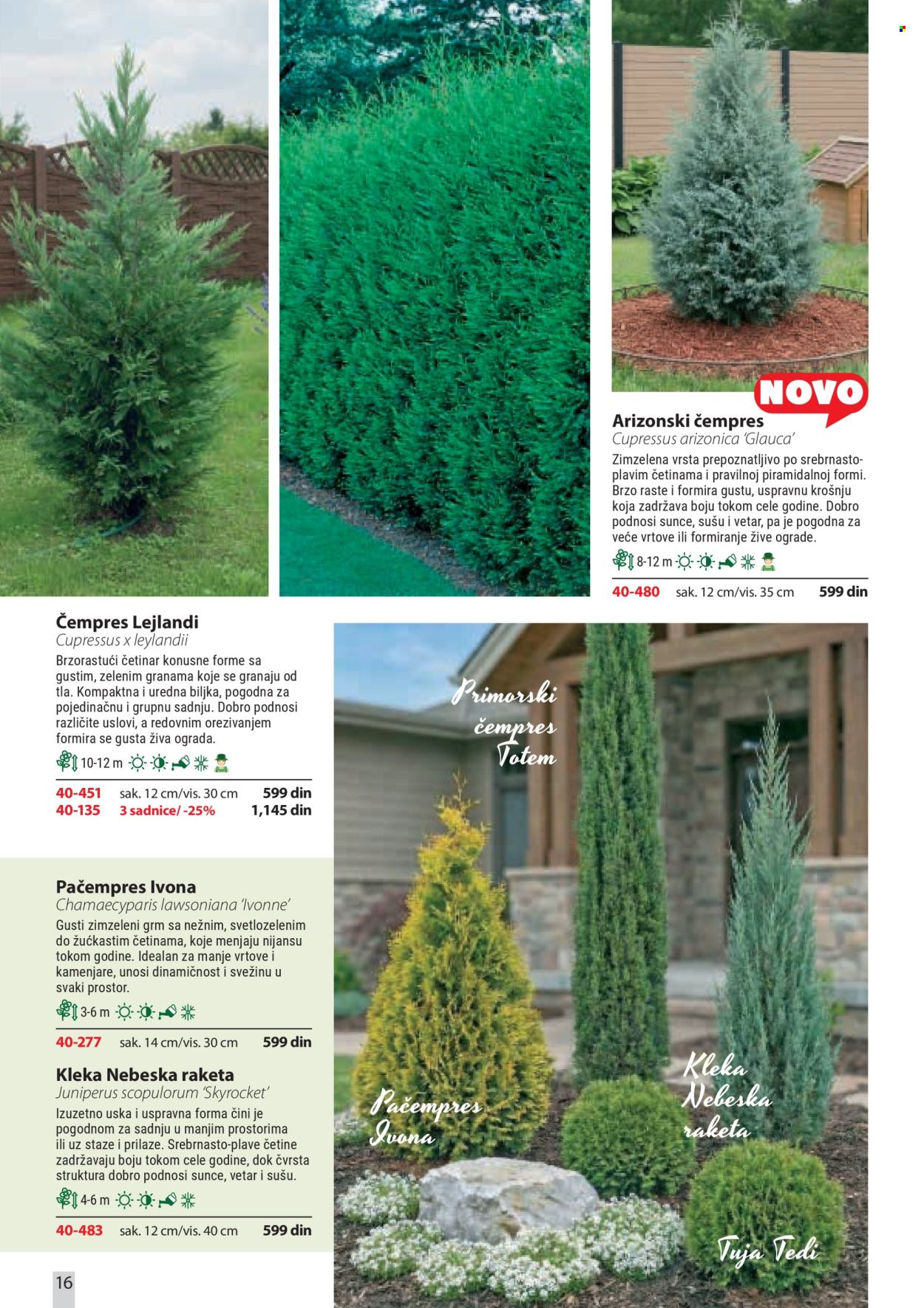 Flora Ekspres katalog. Stranica 16