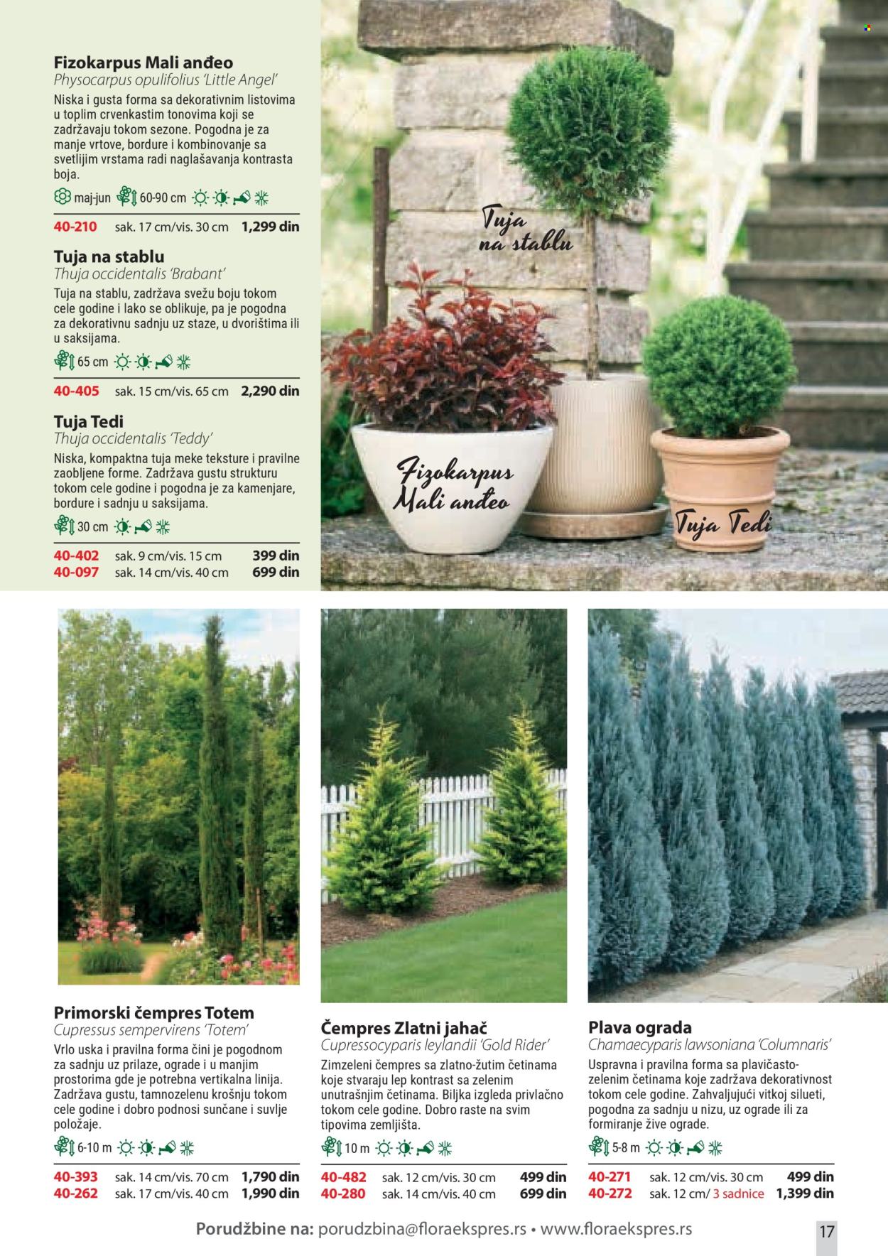 Flora Ekspres katalog. Stranica 17
