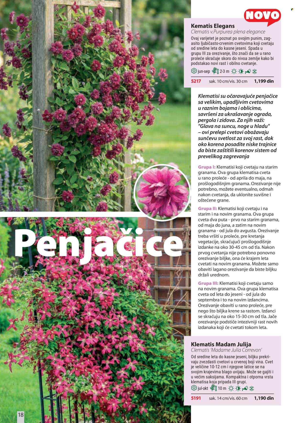 Flora Ekspres katalog. Stranica 18