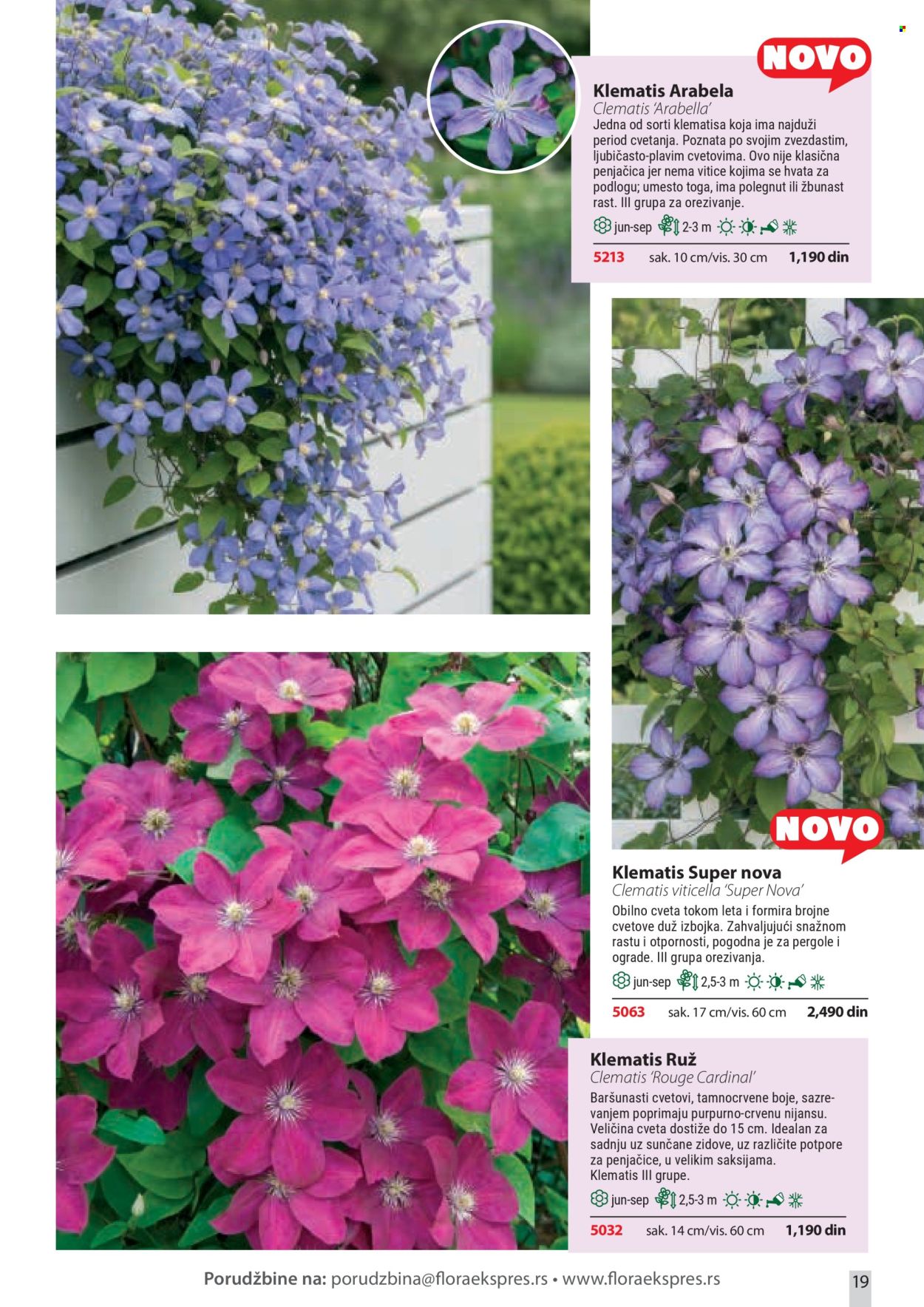 Flora Ekspres katalog. Stranica 19