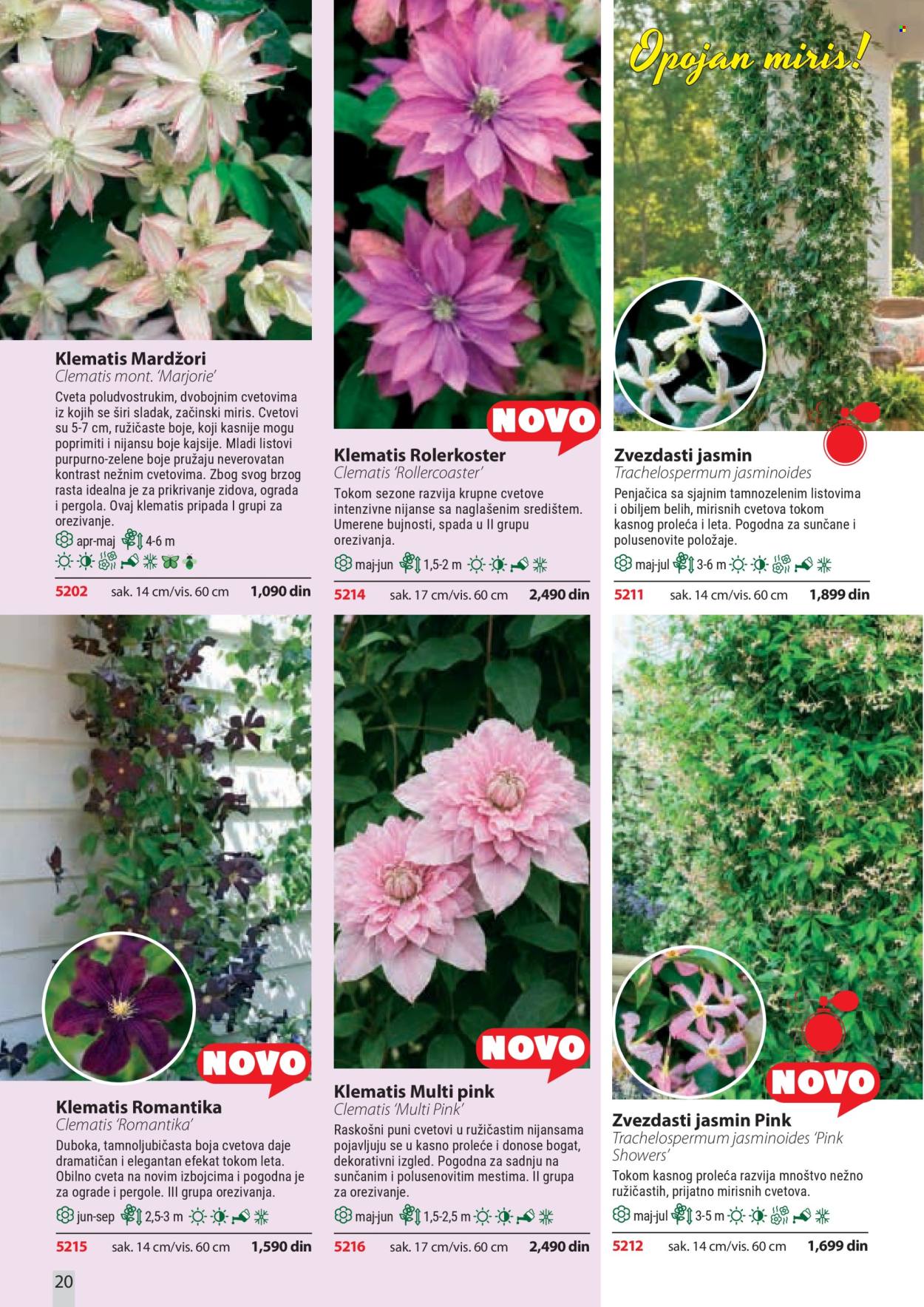 Flora Ekspres katalog. Stranica 20