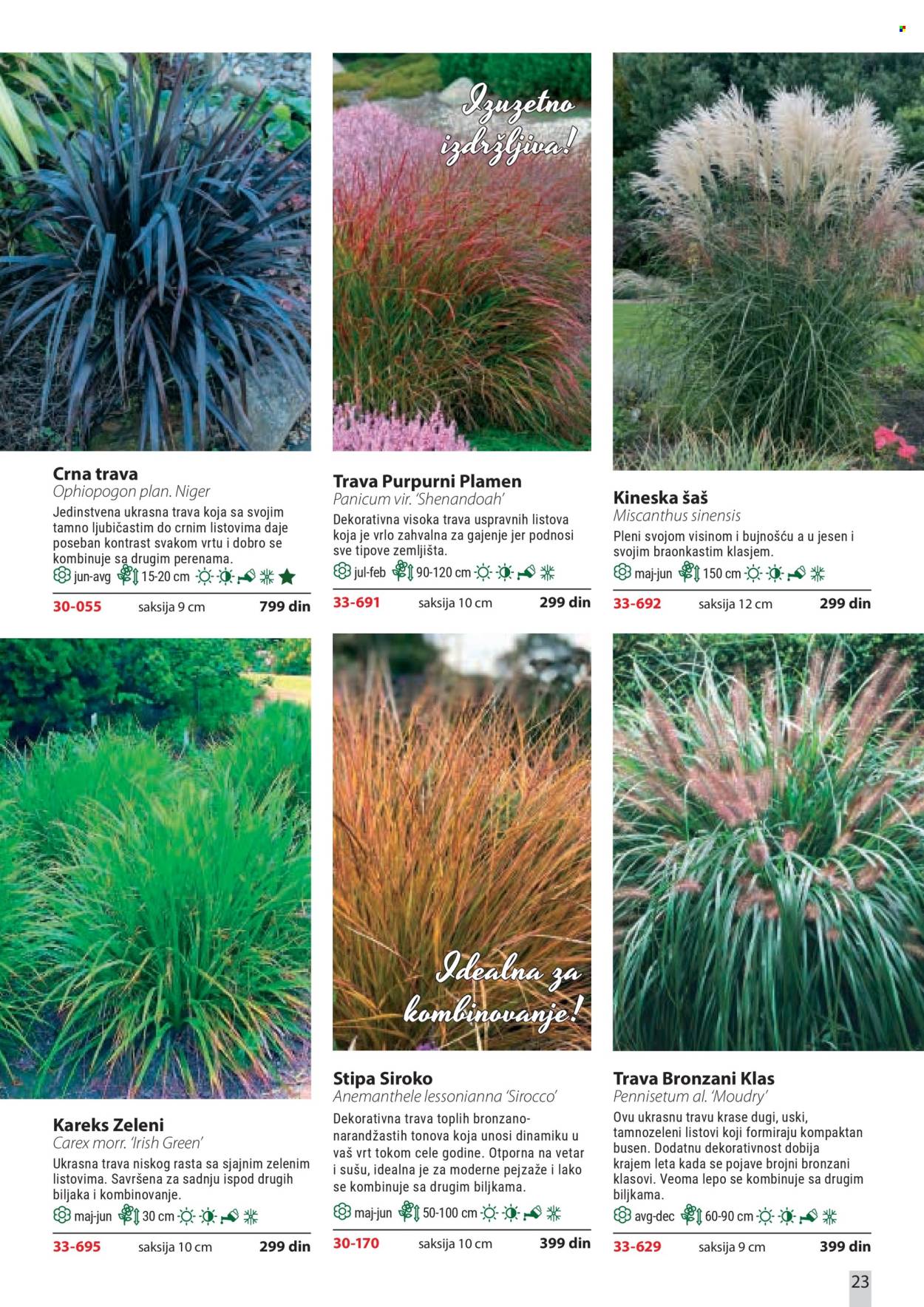Flora Ekspres katalog. Stranica 23