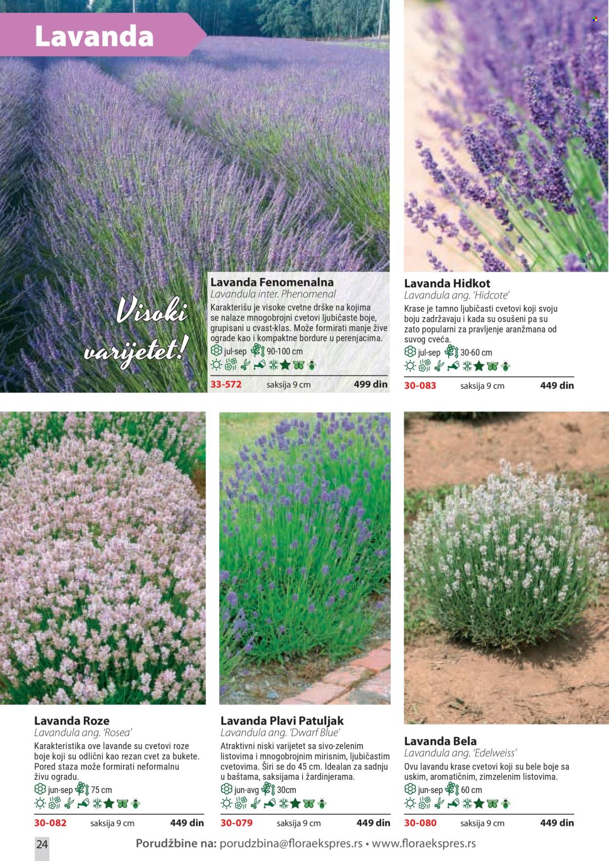 Flora Ekspres katalog. Stranica 24