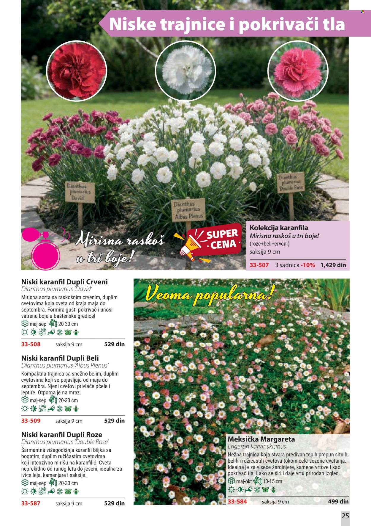 Flora Ekspres katalog. Stranica 25