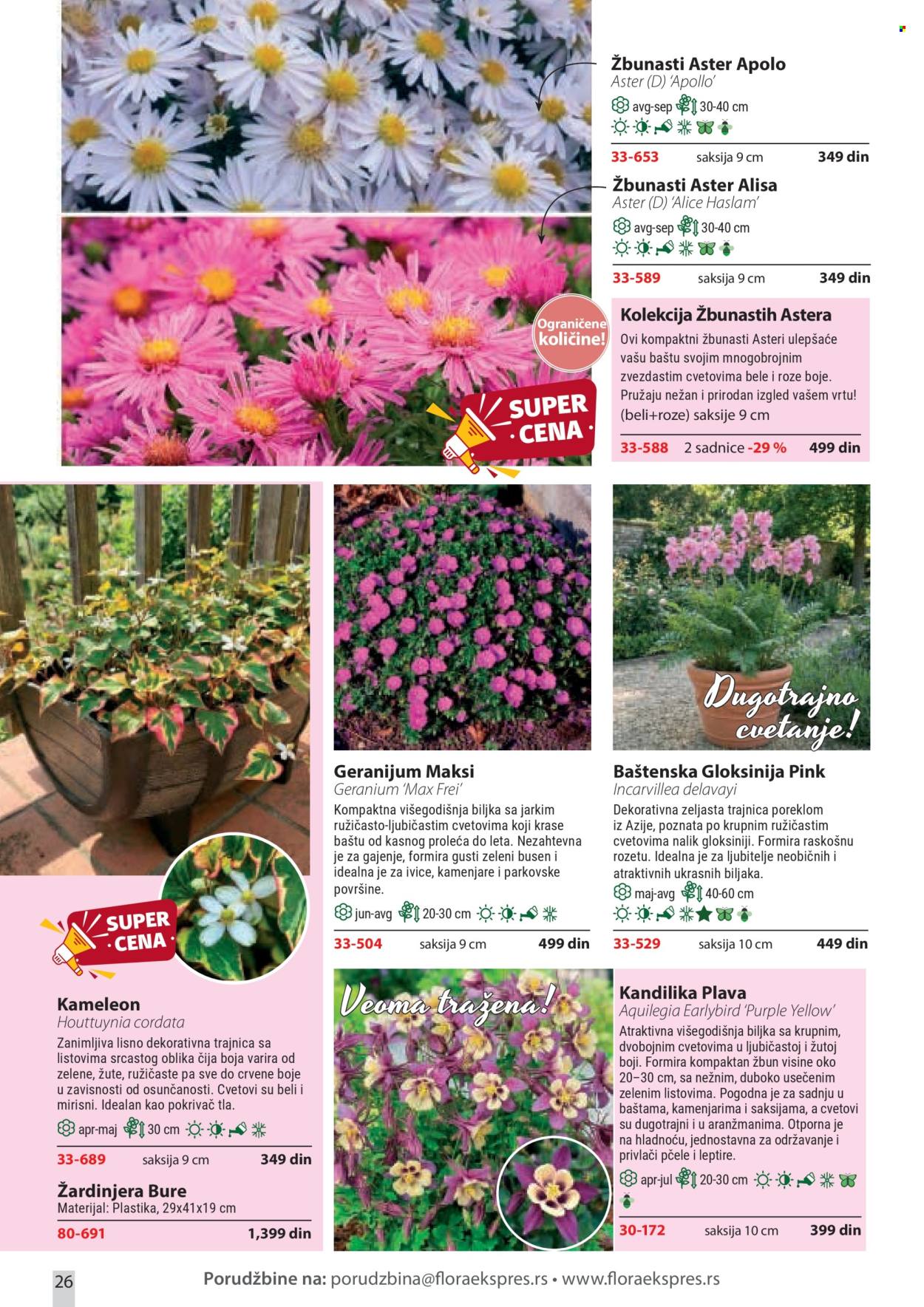 Flora Ekspres katalog. Stranica 26