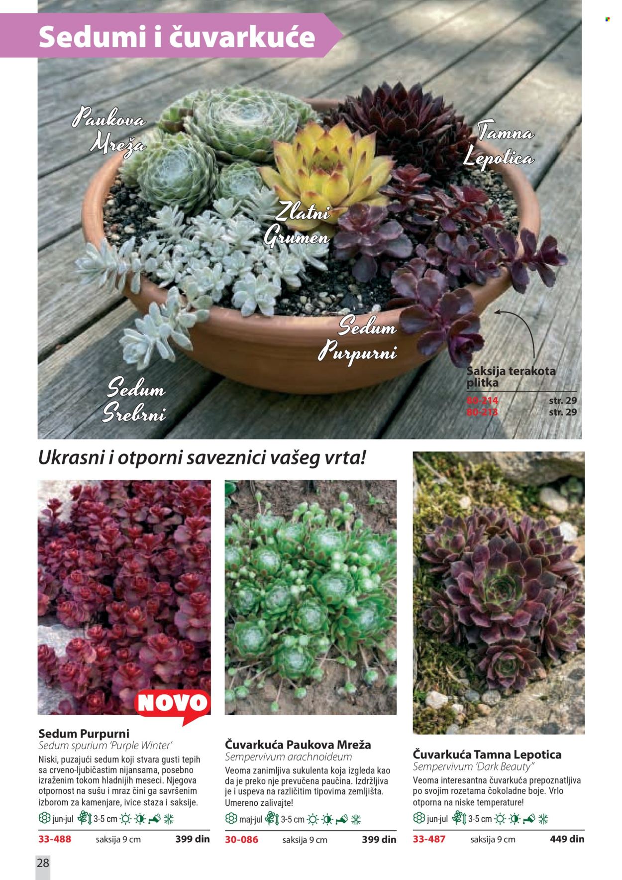 Flora Ekspres katalog. Stranica 28