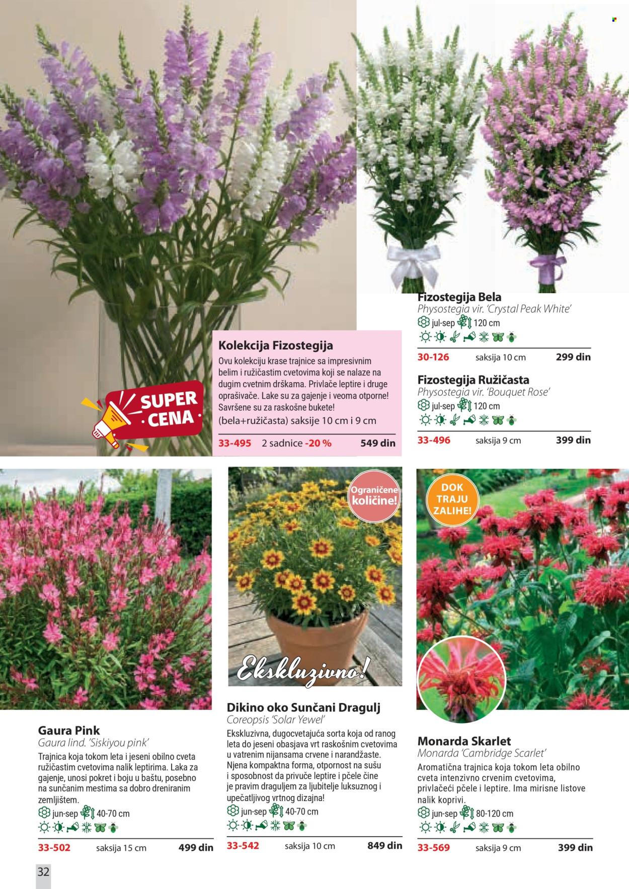 Flora Ekspres katalog. Stranica 32