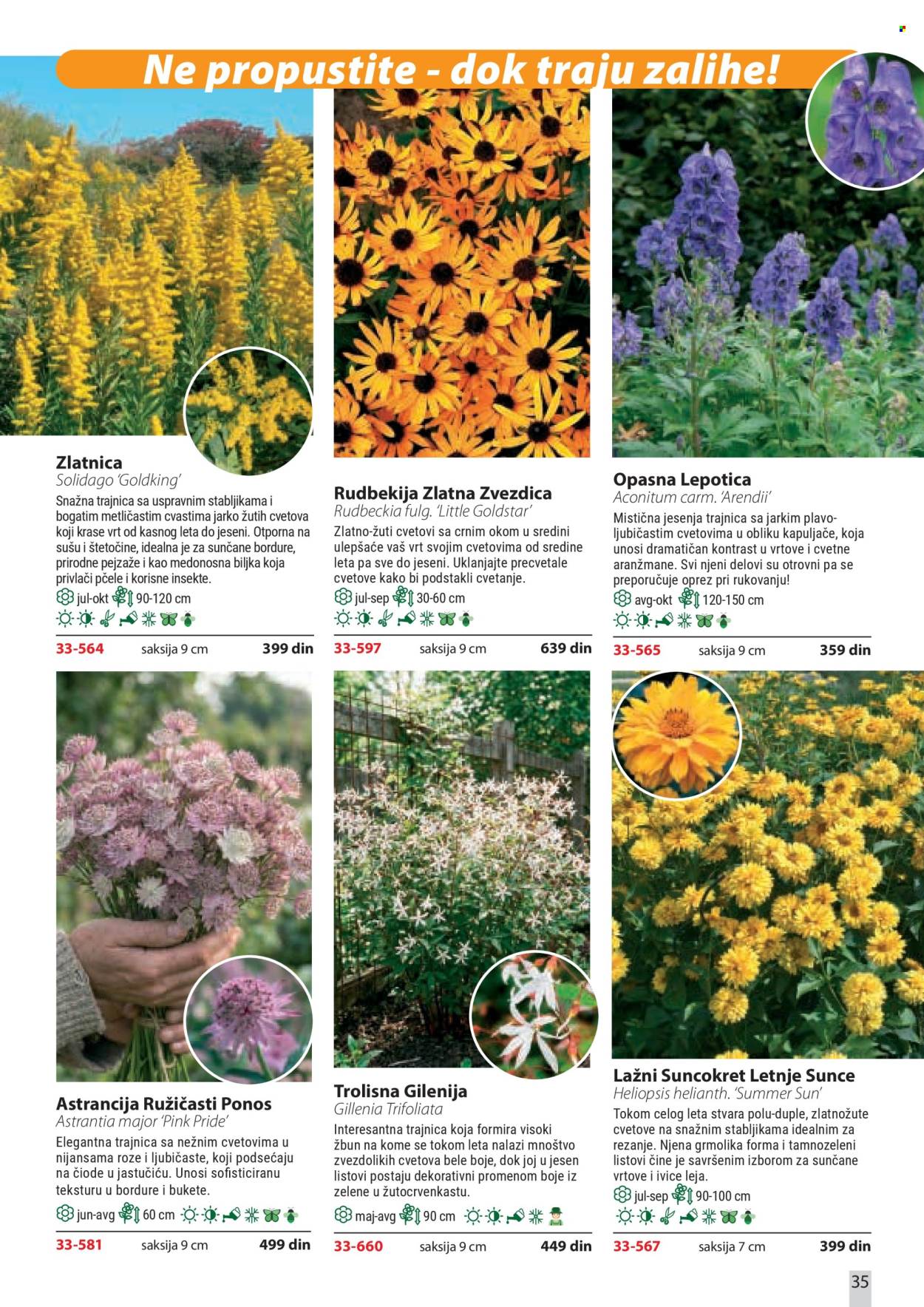 Flora Ekspres katalog. Stranica 35