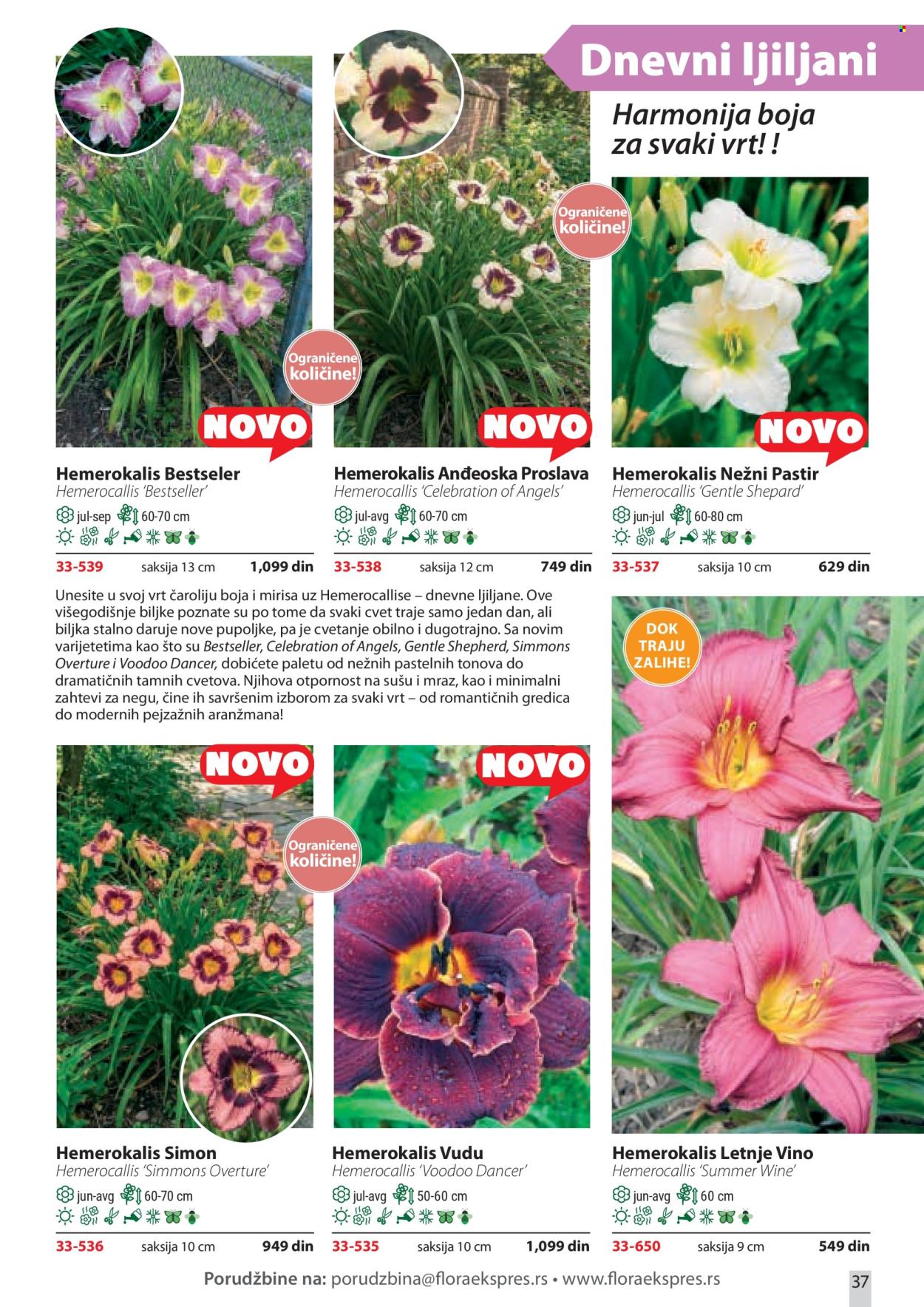 Flora Ekspres katalog. Stranica 37