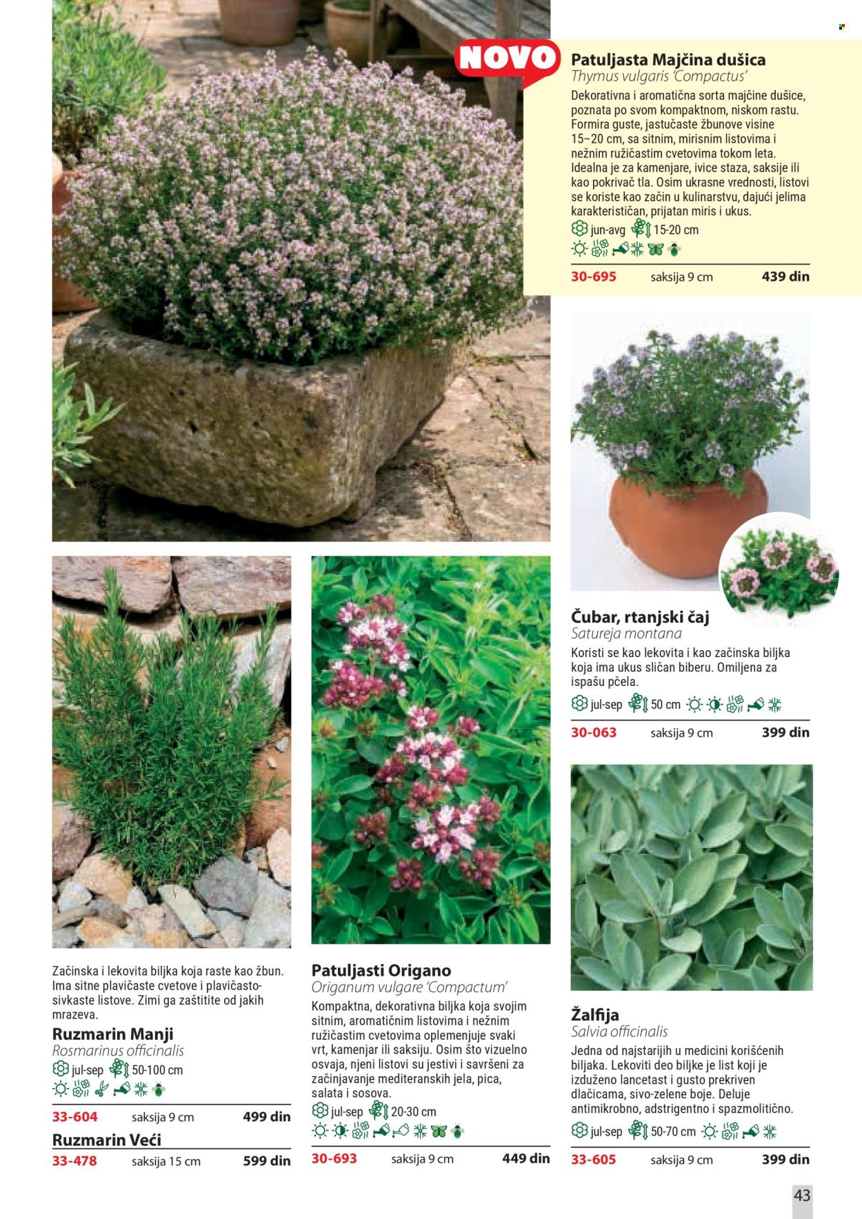 Flora Ekspres katalog. Stranica 43