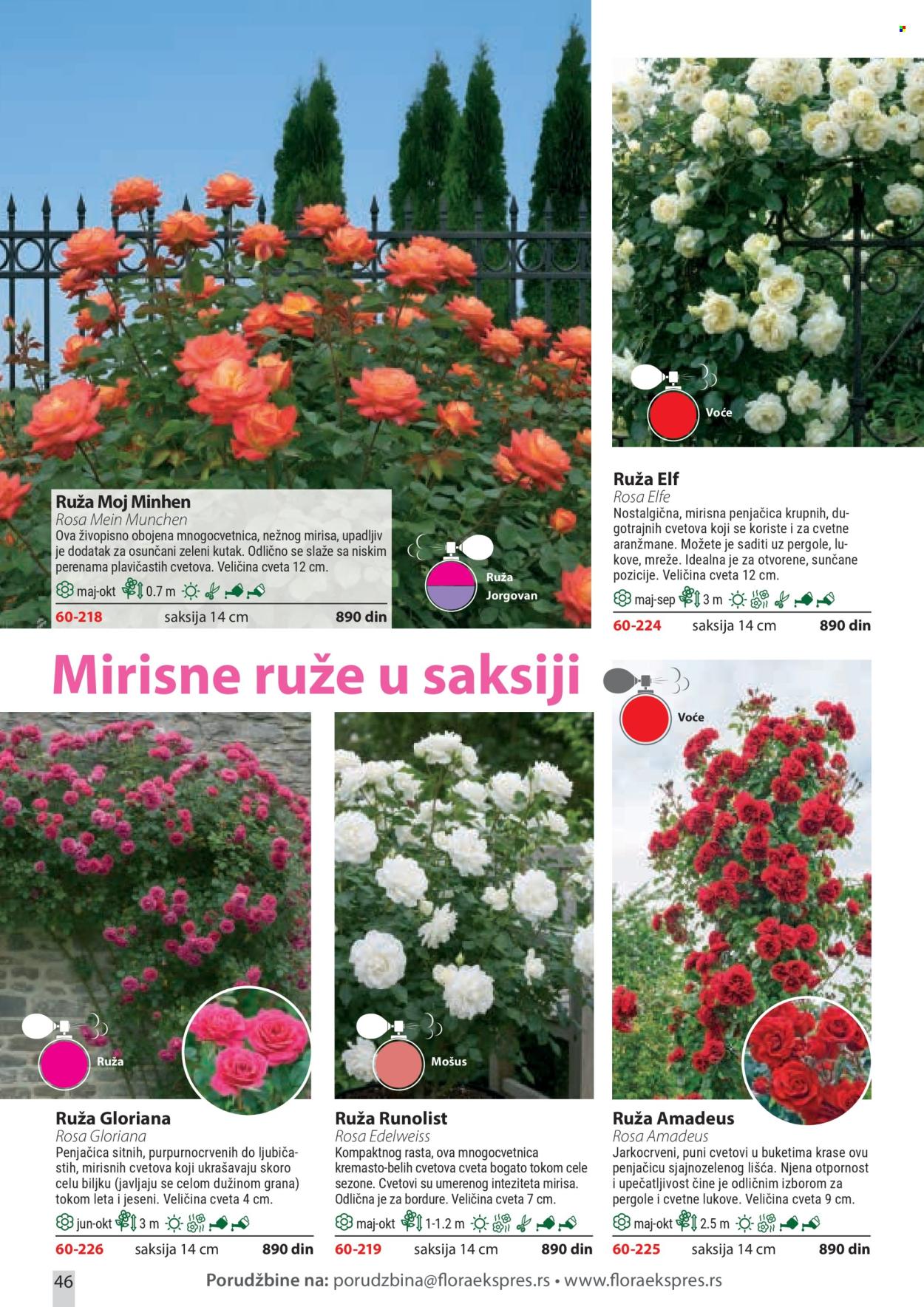 Flora Ekspres katalog. Stranica 46