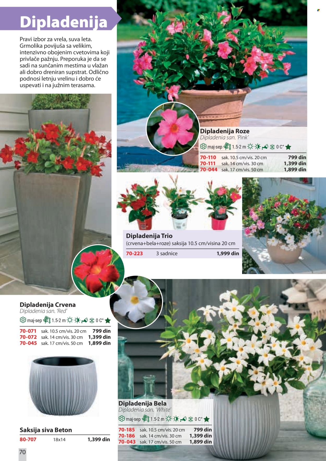 Flora Ekspres katalog. Stranica 70