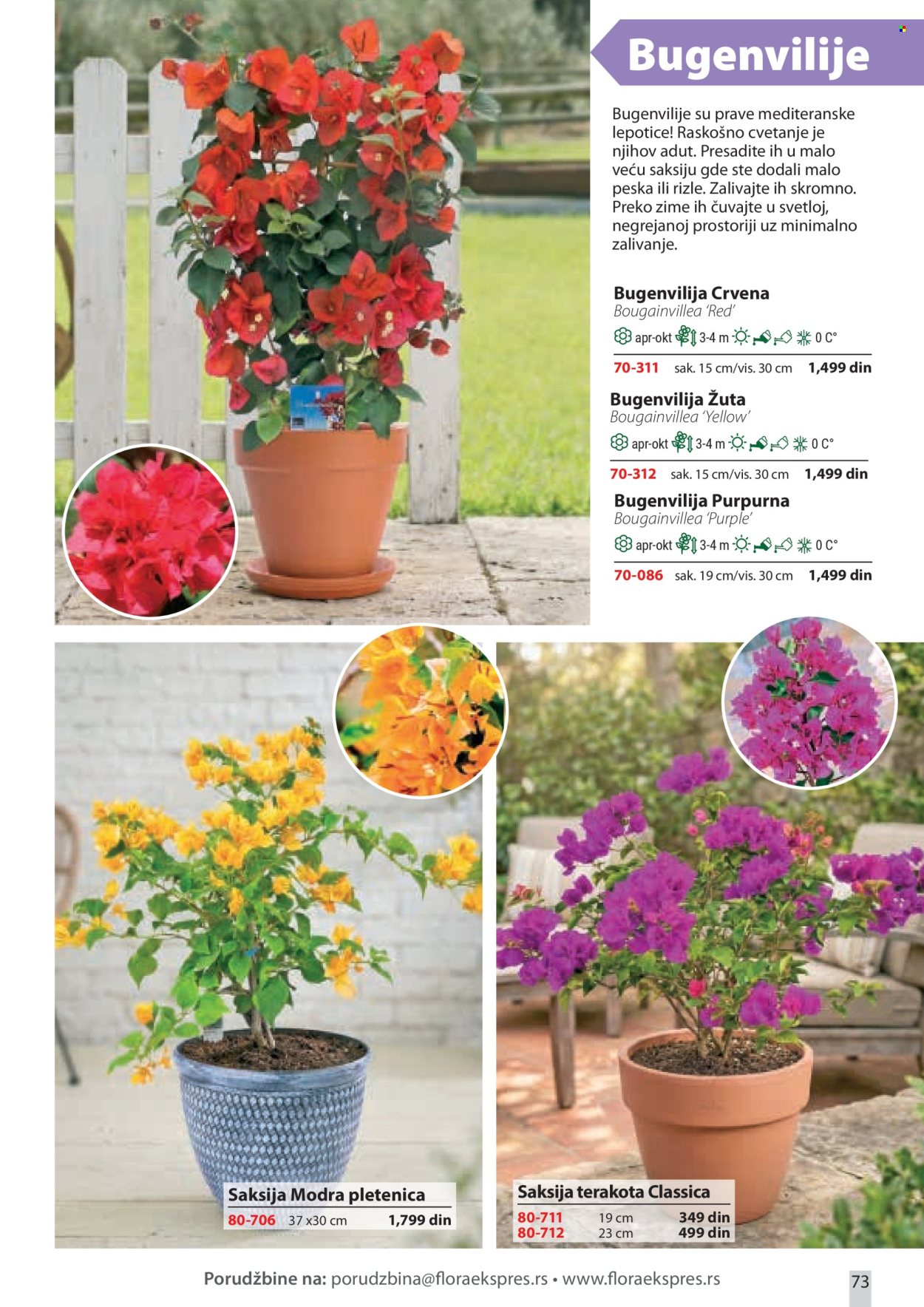 Flora Ekspres katalog. Stranica 73