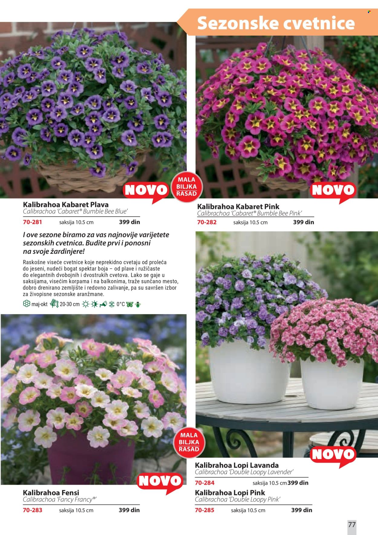Flora Ekspres katalog. Stranica 77